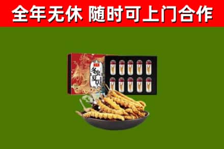 市中区回收冬虫夏草价格